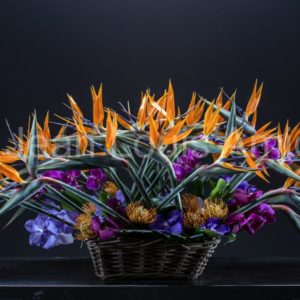 Fleuriste à Montélimar dans la Drôme