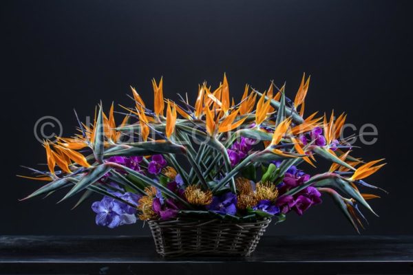 Fleuriste à Montélimar dans la Drôme
